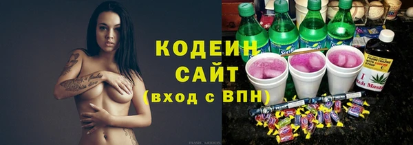 сатива Няндома