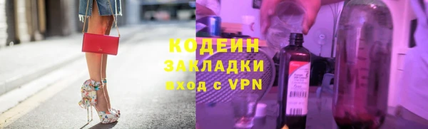сатива Няндома