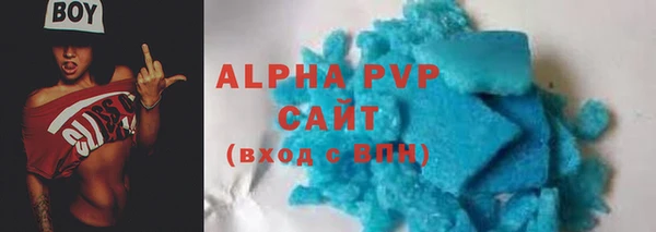 сатива Няндома
