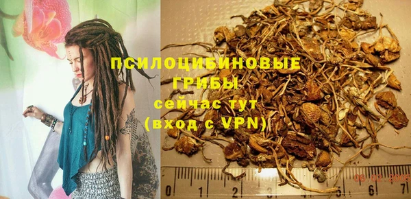 сатива Няндома
