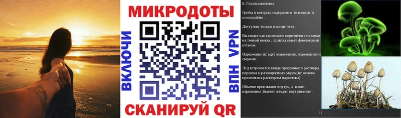 наркотики  Кедровый  Псилоцибиновые грибы Psilocybe 